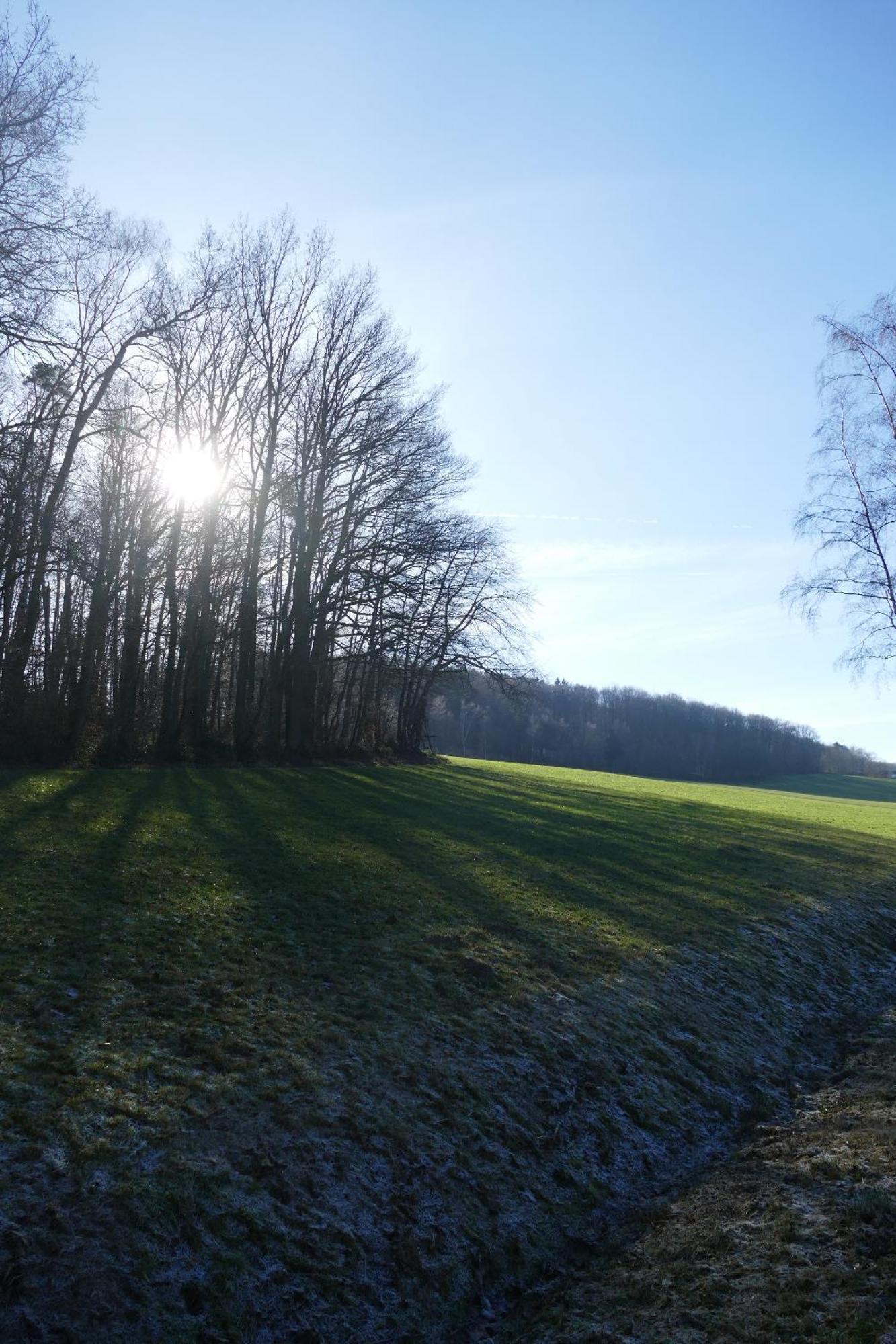 Ferienwohnung Hueppelroettchen Eitorf Luaran gambar